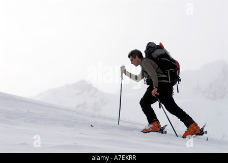 Skier skinning up the Asulkan Drainage Rogers Pass, Selkirk Mountains, Canadian Rockies, British Columbia, Canada Stock Photo
