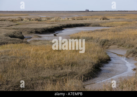 Salt Marshes and Watch House, Blakeney, Norfolk, England Stock Photo