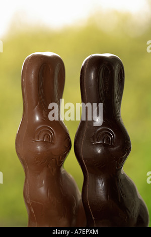 Two chocolate bunnies of different colours against green background Stock Photo