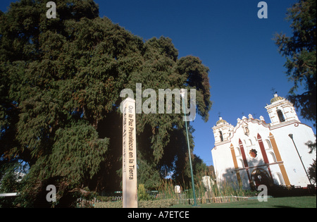 Mexico, Oaxaca, El Tule. 2000-3000 year old ahuehuete tree, biomass,  UNESCO site Stock Photo