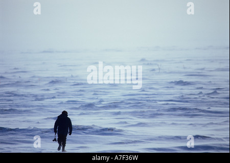 USA Alaska Nome Photographer walks onto frozen Bering Sea ice during blizzard for snapshots of Iditarod dog sled race Stock Photo