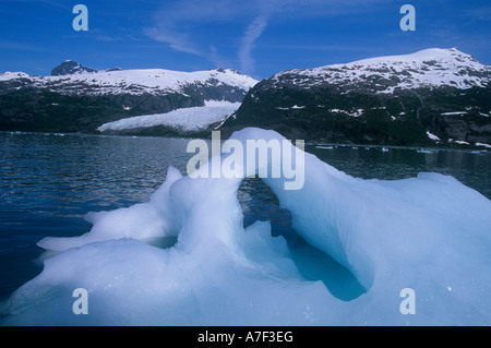 USA Alaska Icebergs from Blackstone Glacier float through Prince William Sound near Whittier Stock Photo