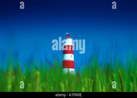 Happisburgh Lighthouse in field of green barley in north Norfolk England UK Stock Photo
