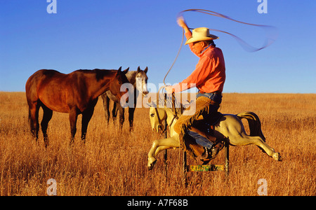 electric horse ride on