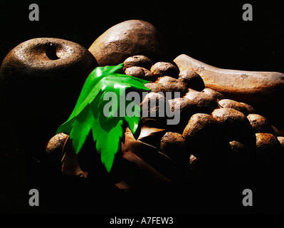 Stony fruites Stock Photo