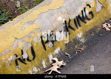 No parking curb paint stensiled sign Stock Photo