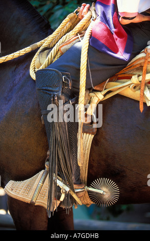 Étrier Ancien Chilien – Huaso Cowboy, Années 1800, Fait Main