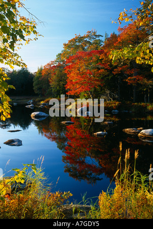 Autumn Mersey River nr Kejimkujik National Park Nova Scotia Canada Stock Photo