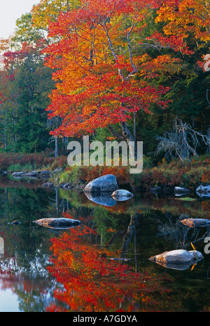 Autumn Mersey River nr Kejimkujik National Park Nova Scotia Canada Stock Photo