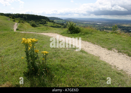 View from top of Birdlip Hill in Gloucestershire Stock Photo