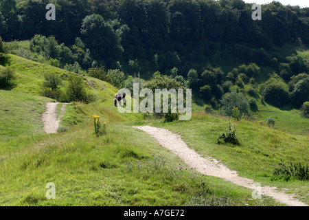 View from top of Birdlip Hill in Gloucestershire Stock Photo