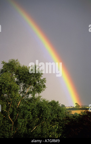 rainbow shining after summer thunderstorm over fields yorkshire uk Stock Photo