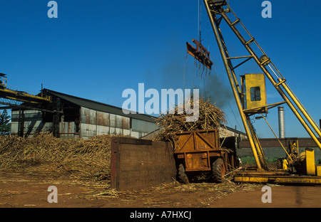 Kakira sugar works Jinja Uganda Stock Photo