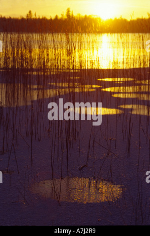 Abstract light reflections on small puddles of water on the ice Stock Photo