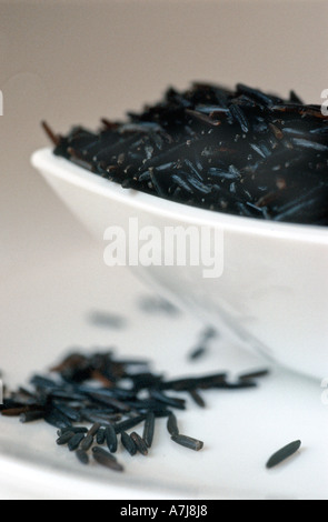 Rice (Oryza sativa), rice grains Stock Photo - Alamy