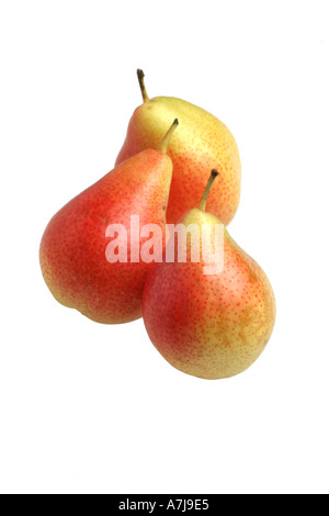 three Forelle pears on a white background Stock Photo