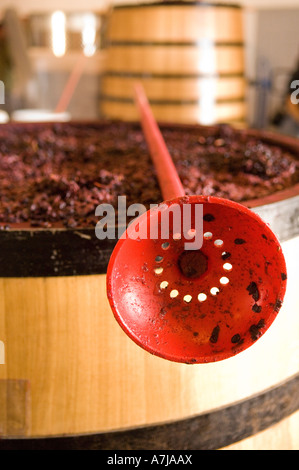 Punch down tool over wooden fermentation tank Bergstrom Winery Oregon Stock Photo