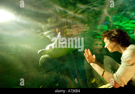 Author Jeanette Winterson and a turtle in Brighton Stock Photo