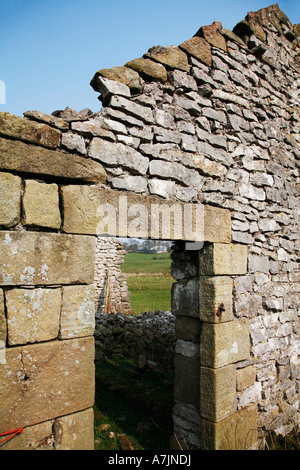 Derelict field barn in the Derbyshire Peak District Stock Photo