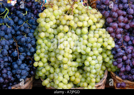 Bunches of black and green grapes Stock Photo