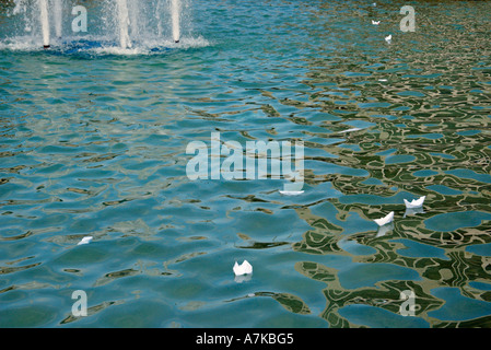 Folded paper boat floating in water Stock Photo - Alamy