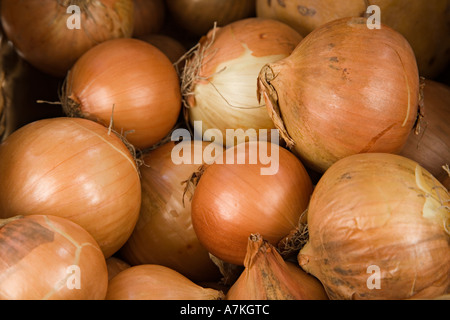 Heap of onions close up Stock Photo