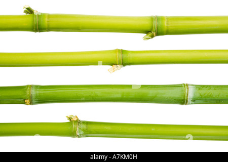 Bamboo sticks lying horizontally against a white background Stock Photo