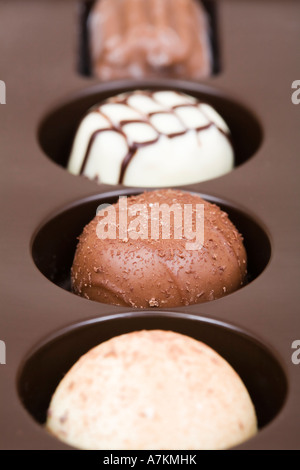 Chocolate assortment in a tray Stock Photo