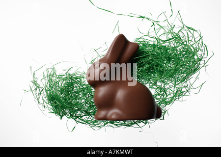Chocolate bunny with green moss on white background, easter, easter bunny Stock Photo