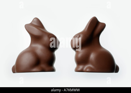 Two chocolate bunnies looking at each other, white background, easter bunnies Stock Photo