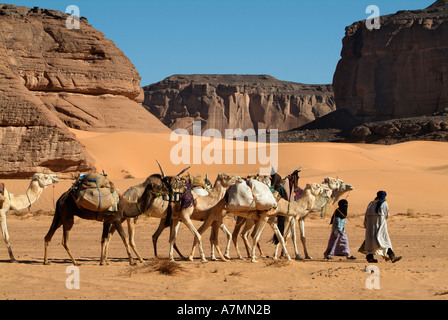 Tuareg camel train, Jebel Acacus, Sahara Desert, Libya Stock Photo