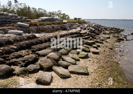 Shore defence being re-laid after hurricane Wilma on the shore of chokoloskee bay at everglades city florida united states usa Stock Photo