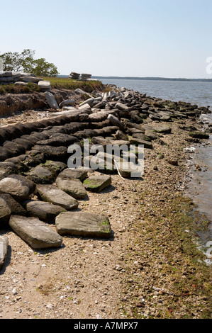 Shore defence being re-laid after hurricane Wilma on the shore of chokoloskee bay at everglades city florida united states usa Stock Photo