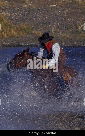 N.A., USA, Oregon, Seneca Cowboy and horse deep in water Stock Photo