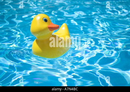 Rubber duck in pool Stock Photo