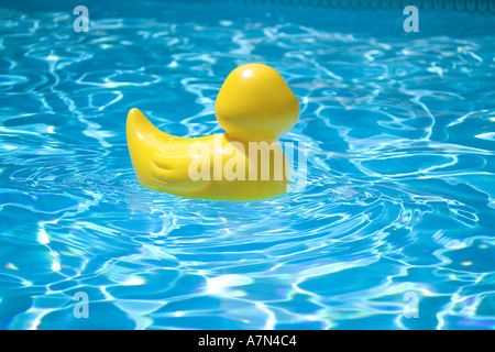 Rubber duck in pool Stock Photo