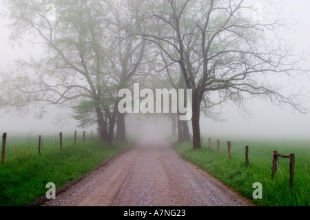 Sparks Lane on foggy morning, Cades Cove, Great Smoky Mountains National Park, TN Stock Photo