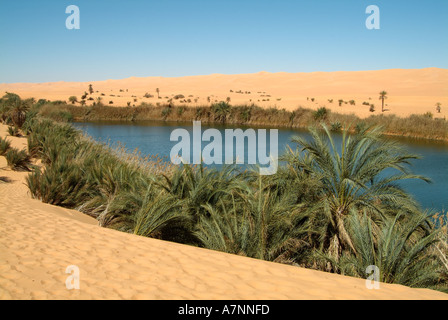 Mavo Lake (Ubari Lakes), Oasis in the Idehan Ubari sand sea, Sahara Desert, Libya Stock Photo