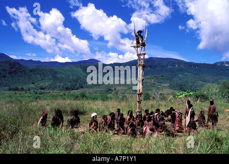 Indonesia, Papua, Irian Jaya, Wamena, Baliem Valley, Lanis tribe (Papu) in Dunkum village Stock Photo