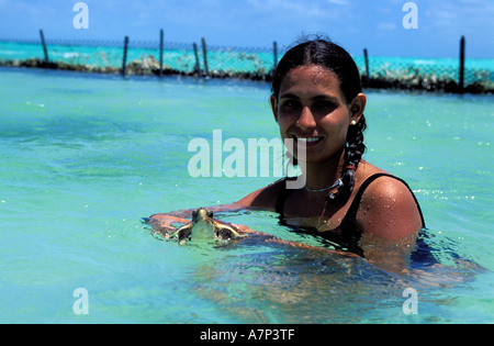 Venezuela, Los Roques Archipelago (national park), turtle marine life park Stock Photo