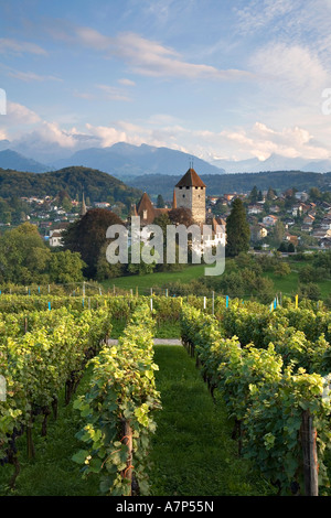 Castle, Spiez, Lake Thun, Berner Oberland, Switzerland Stock Photo