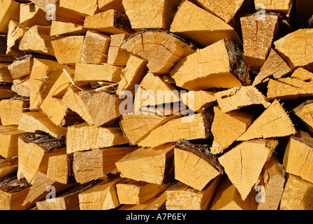 Nachwachsender Rohstoff Holz renewable resource wood