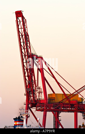 Container crane lifting portainer shipping container from cargo ship ...