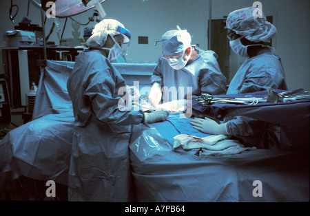 Surgical team performs kidney transplant in operating room Stock Photo