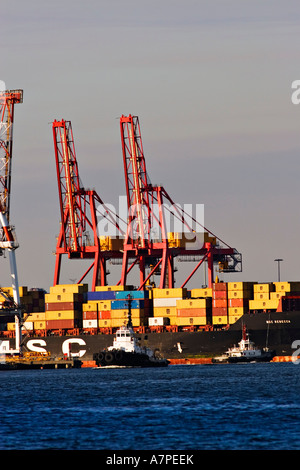 Shipping Industry / A Container Ship is docking  with Tugboats in assistance. Stock Photo