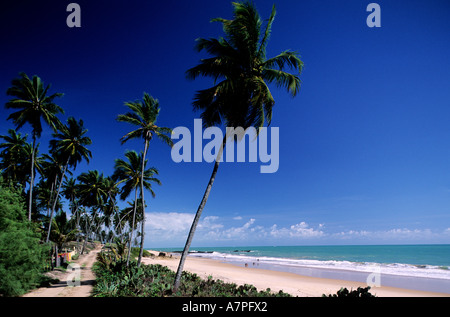 Brazil, state of Paraiba, South of Joao Pessoa, the beach of Coqueirinho Stock Photo