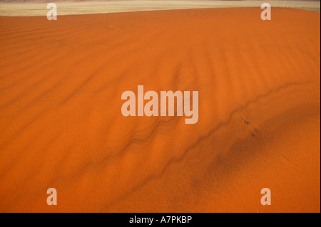 Patterns in a sand dune Namibrand Nature Reserve Namibia Stock Photo