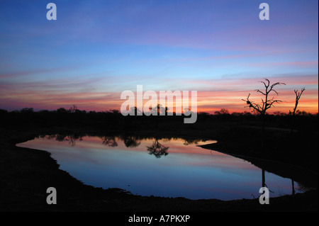A colourful sky reflected in a waterhole after sunset Sabi Sand Game Reserve Mpumalanga South Africa Stock Photo