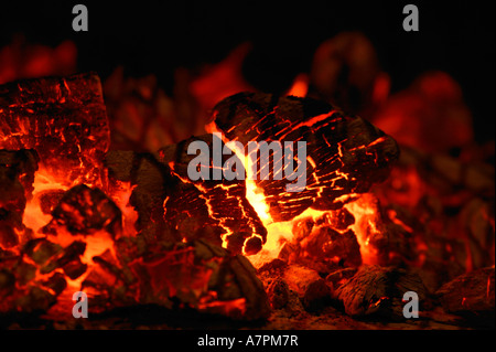 Glowing embers in a wood fire Kgalagadi Transfrontier Park Northern Cape South Africa Stock Photo