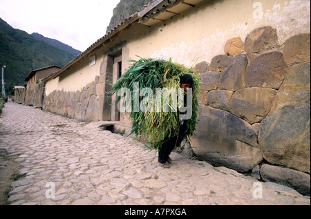 Peru, Cuzco Department, the Sacred Valley, Ollataytambo, old Inca city Stock Photo